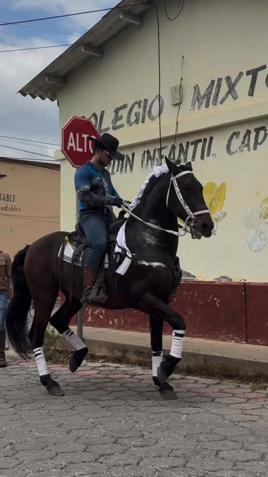 TikTok video thumbnail by luisjo670