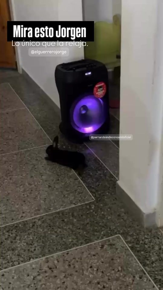 TikTok video thumbnail by parrandeconosmil