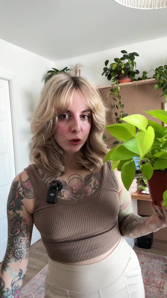 TikTok video thumbnail by laura_pigeon