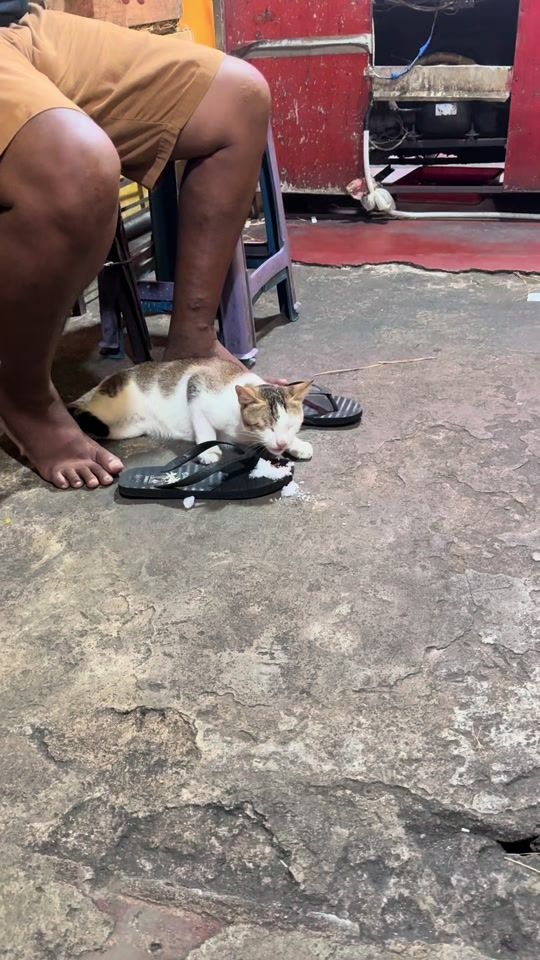 TikTok video thumbnail by pathumlakshan___