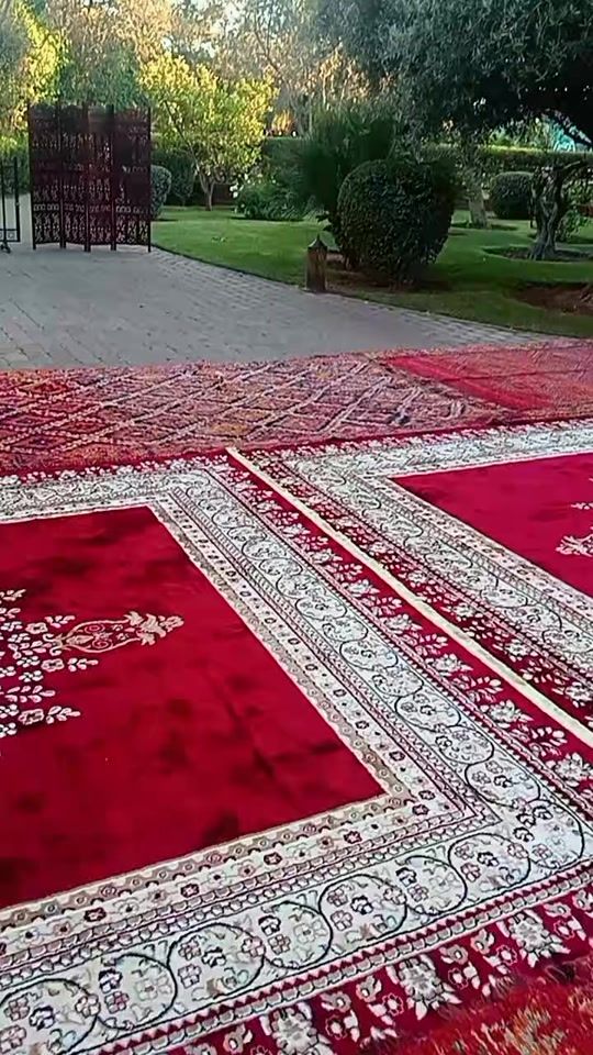 TikTok video thumbnail by zarauia6