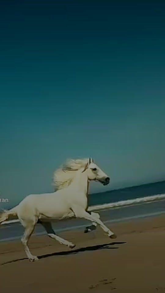 TikTok video thumbnail by goran1s2