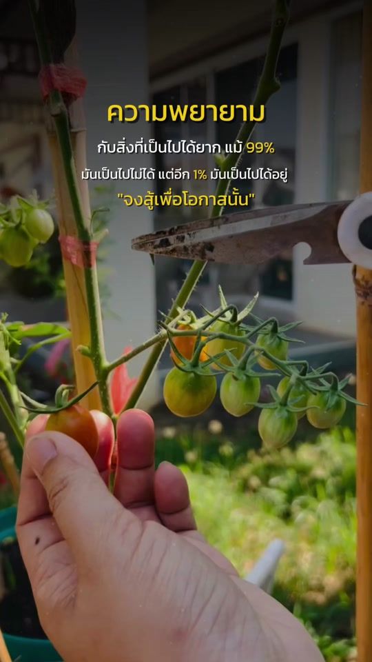 TikTok video thumbnail by healthy__888