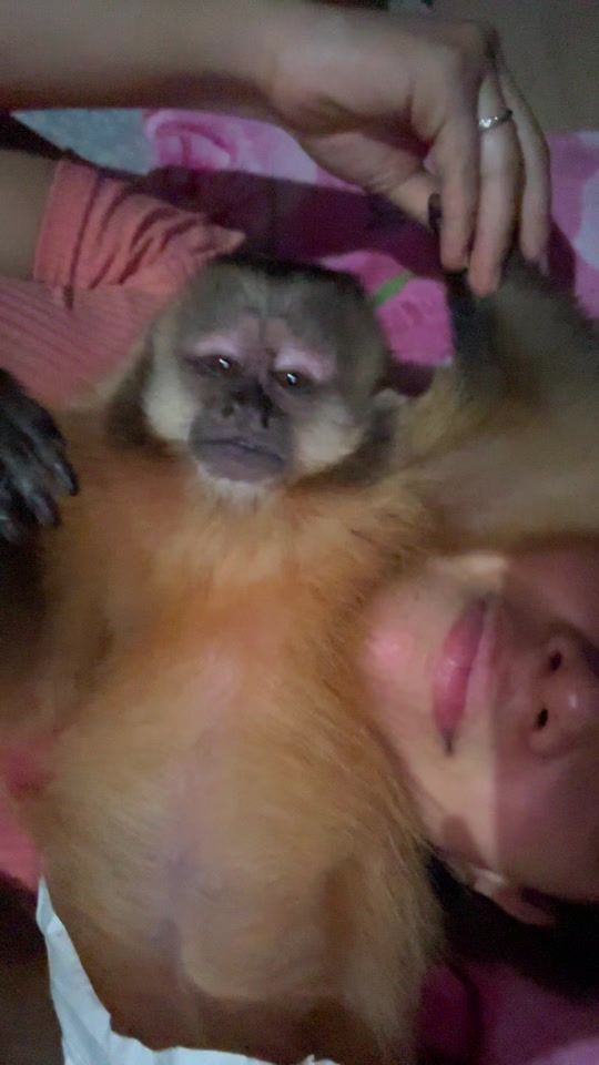 TikTok video thumbnail by _leidy_lpz_
