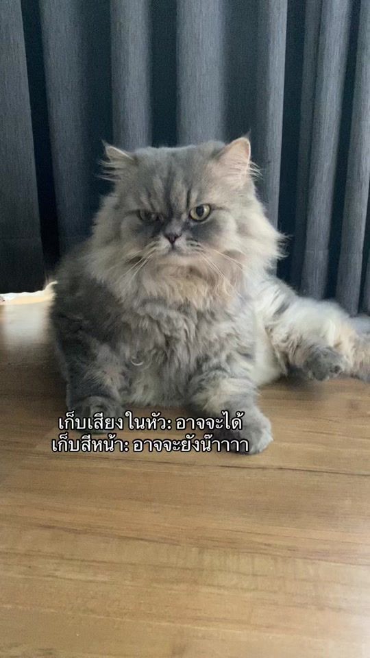 TikTok video thumbnail by mimon_thailand