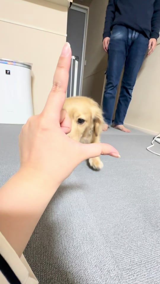 TikTok video thumbnail by monaka0209