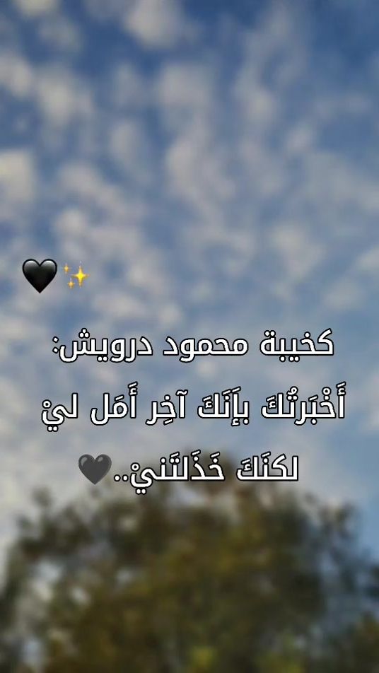 TikTok video thumbnail by shosho_ana___