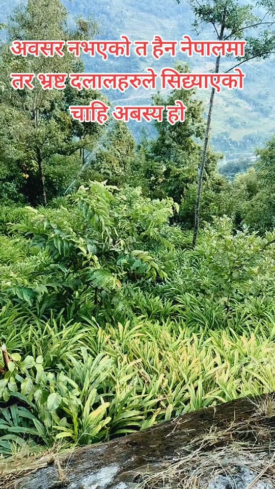 TikTok video thumbnail by pk7663_2b