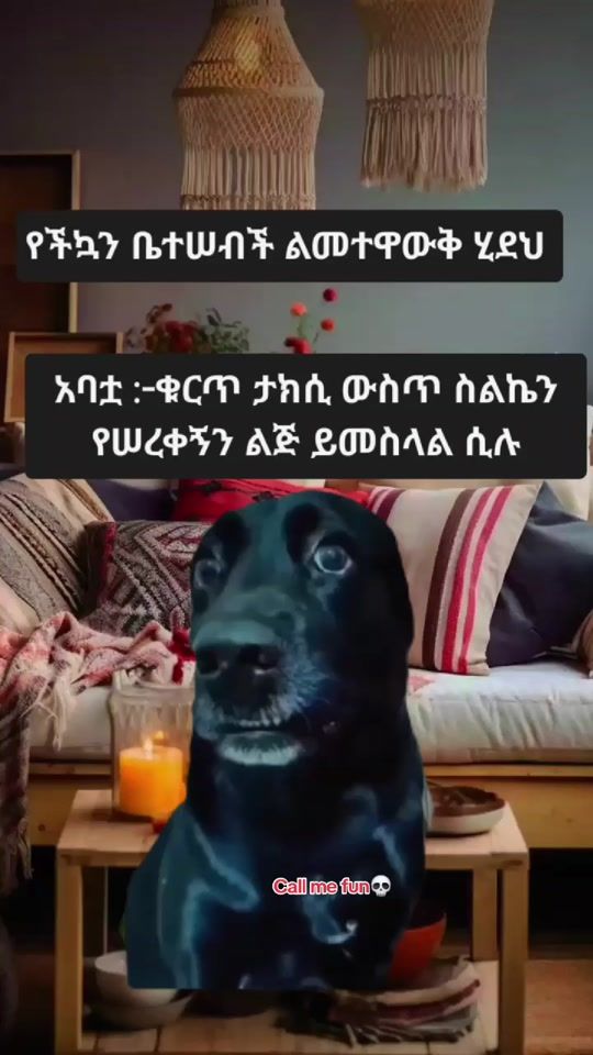 TikTok video thumbnail by qeyufh