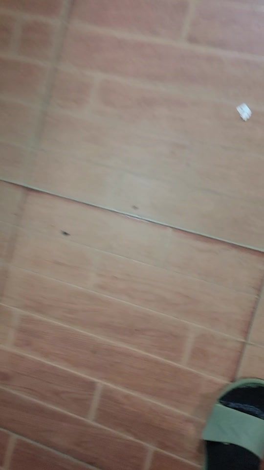 TikTok video thumbnail by busta_rhymes27