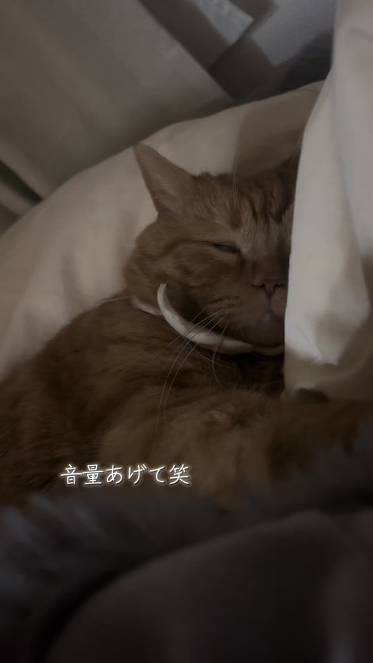TikTok video thumbnail by chi.t26