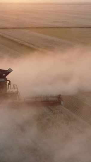 TikTok video thumbnail by modernfarmer_