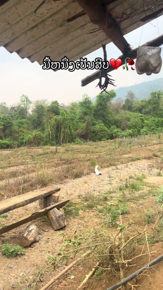 TikTok video thumbnail by alee.98054479