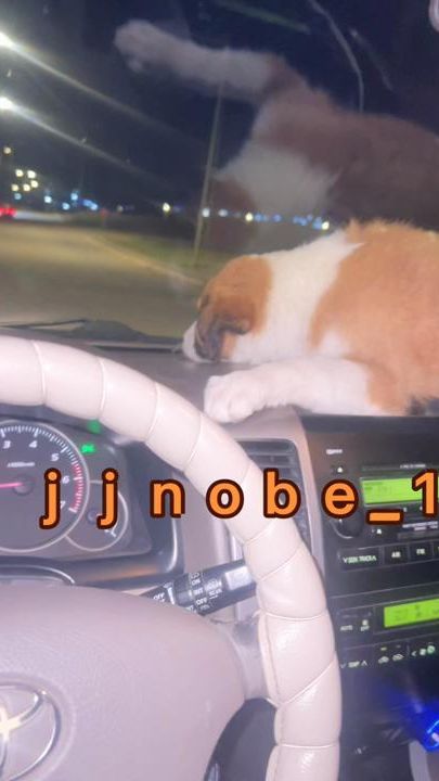 TikTok video thumbnail by jjnobe_1