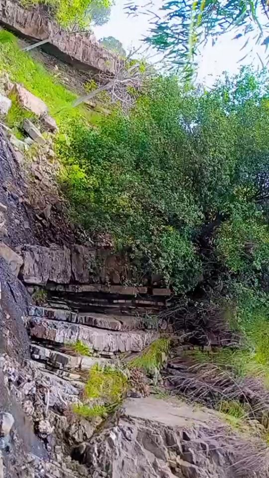 TikTok video thumbnail by mr.shahid744
