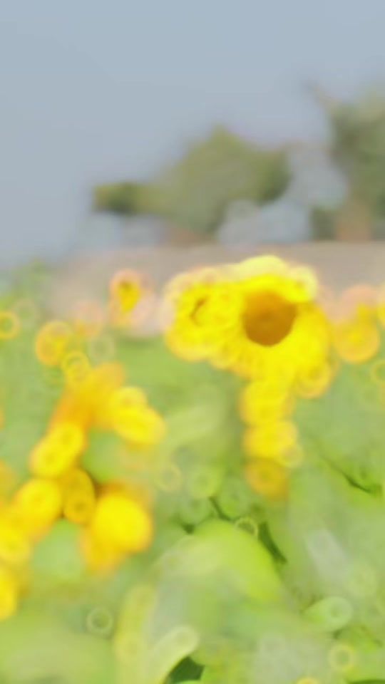TikTok video thumbnail by tushar__557