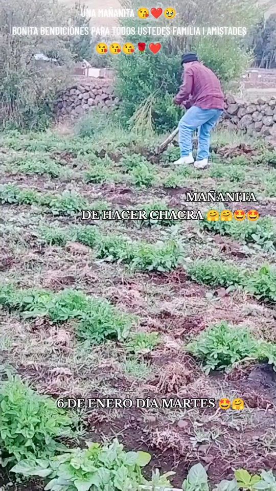 TikTok video thumbnail by dafri2224
