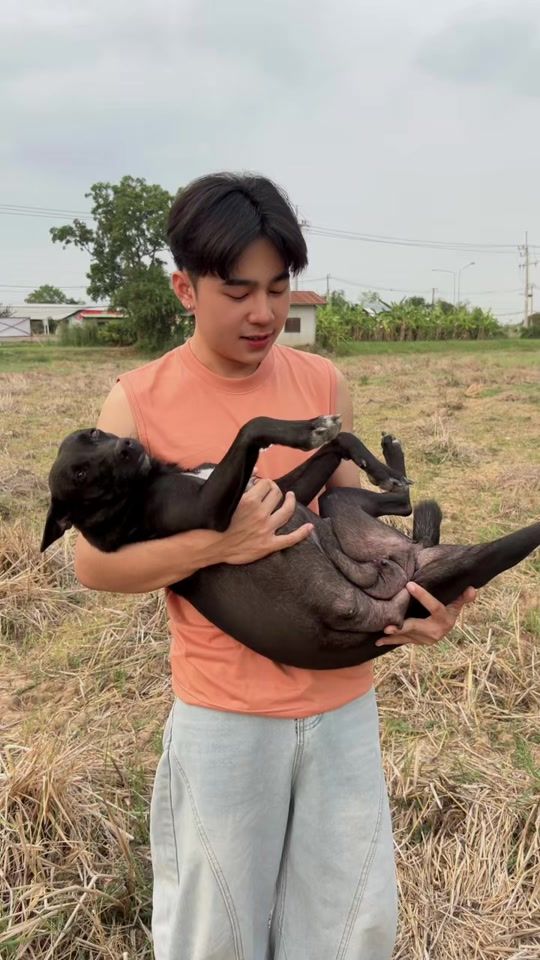 TikTok video thumbnail by tanit_649