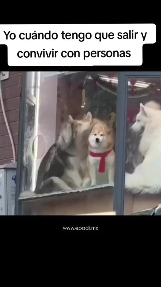 TikTok video thumbnail by carldanmx