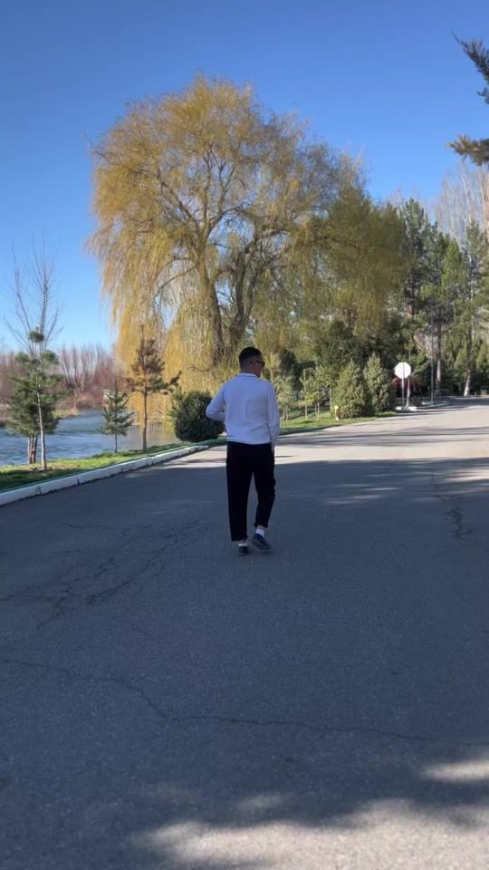 TikTok video thumbnail by januzak197