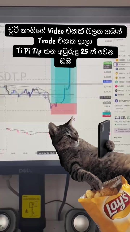 TikTok video thumbnail by crypto_alex_vip