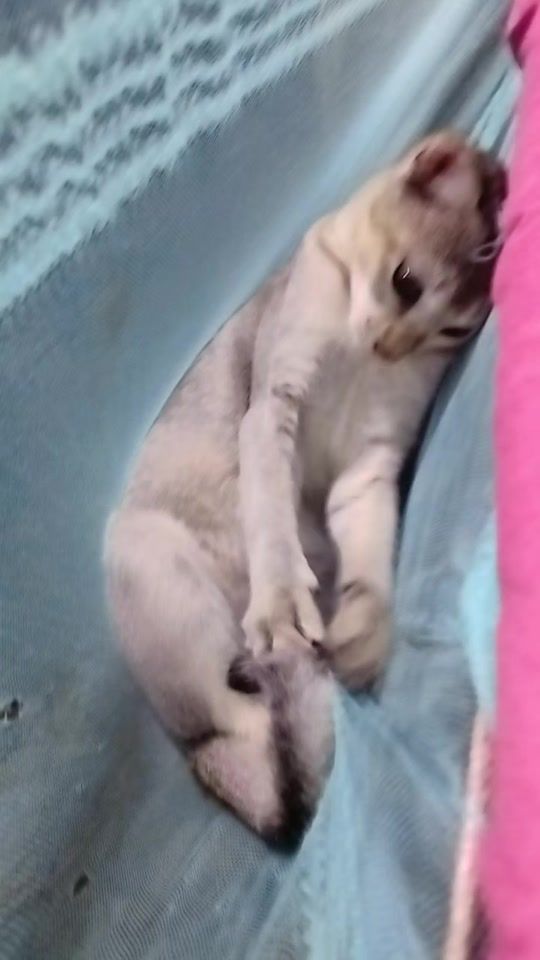 TikTok video thumbnail by minaraut8
