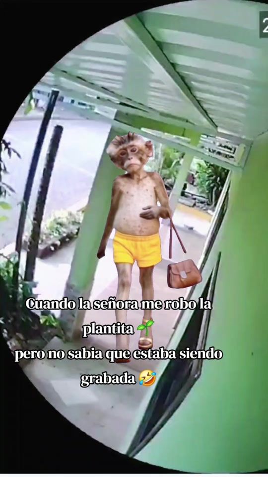 TikTok video thumbnail by rigocasco