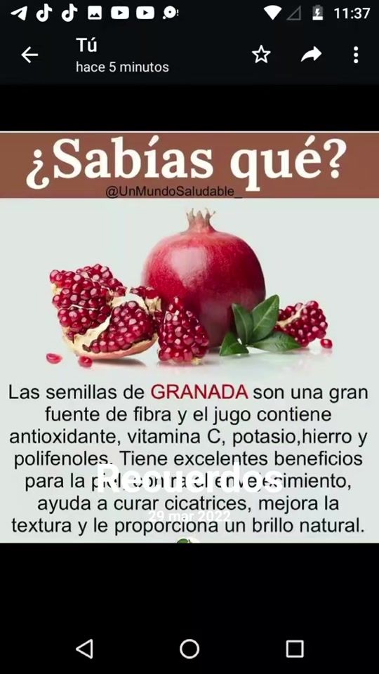 TikTok video thumbnail by daisyagraez