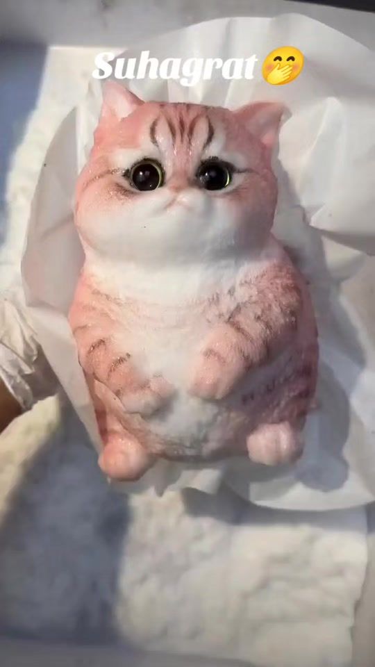 TikTok video thumbnail by arjun_singh_30