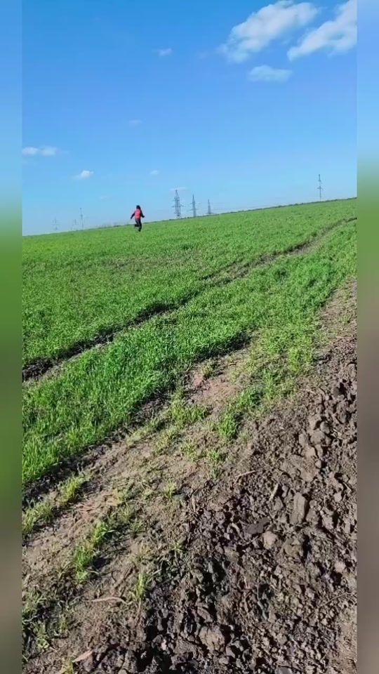 TikTok video thumbnail by galeamaxim8993