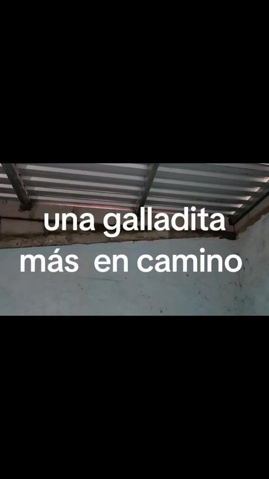 TikTok video thumbnail by javier9033