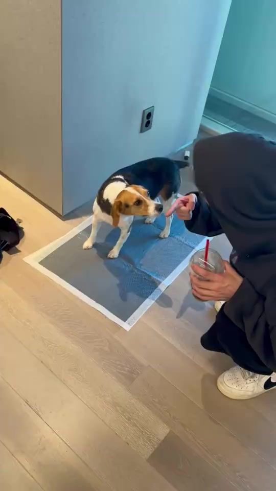 TikTok video thumbnail by henxiao99