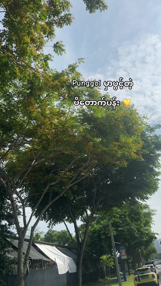 TikTok video thumbnail by pannkaly3