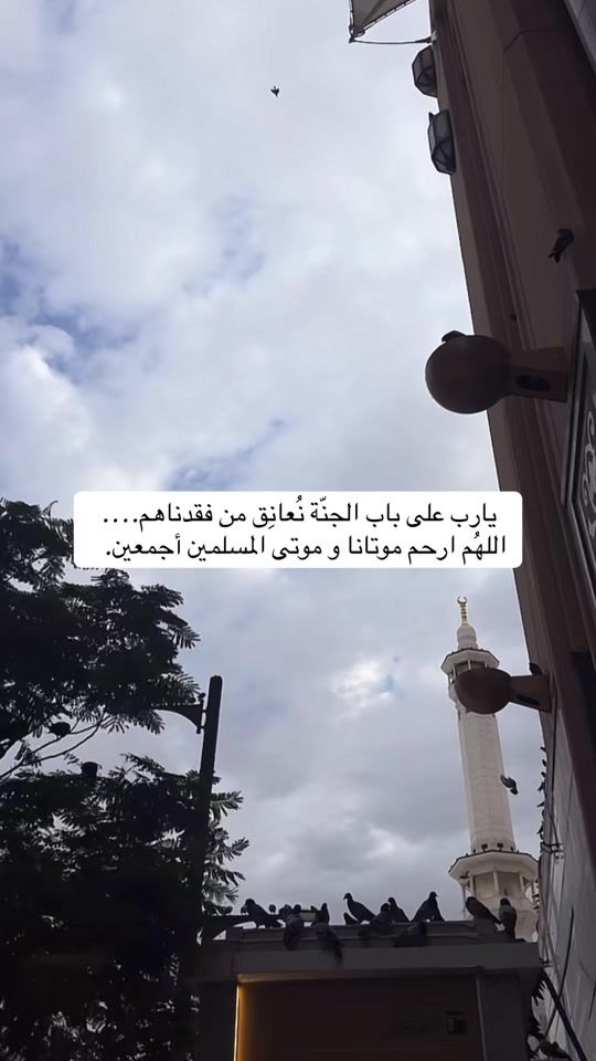 TikTok video thumbnail by reema.372