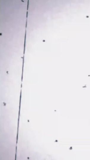 TikTok video thumbnail by sangay620