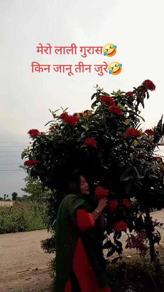 TikTok video thumbnail by parurai46