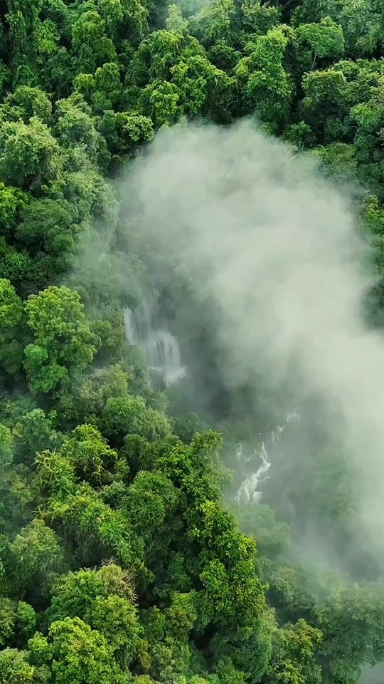 TikTok video thumbnail by bongchun007