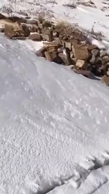 TikTok video thumbnail by minasyan3335