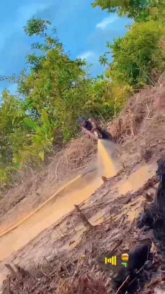 TikTok video thumbnail by tlgcojack