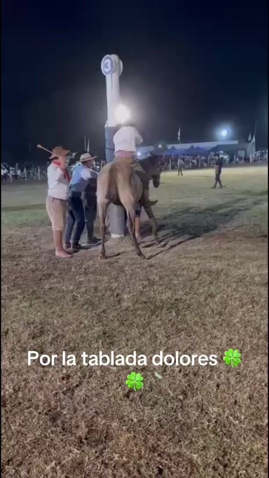 TikTok video thumbnail by lgbo07