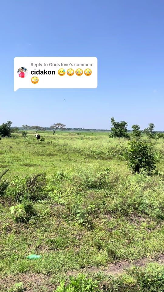 TikTok video thumbnail by otutavicent4