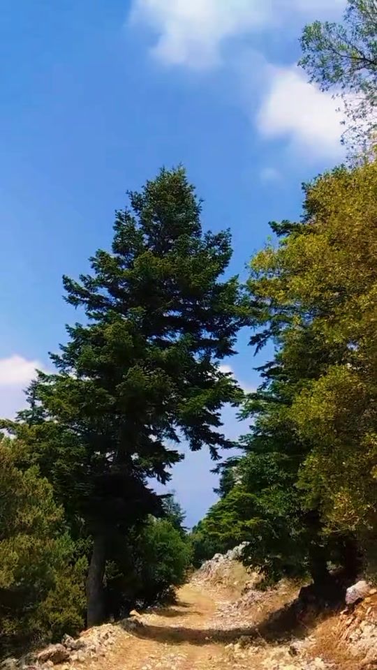 TikTok video thumbnail by berriberri50