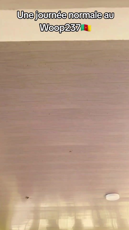 TikTok video thumbnail by laurentvinces