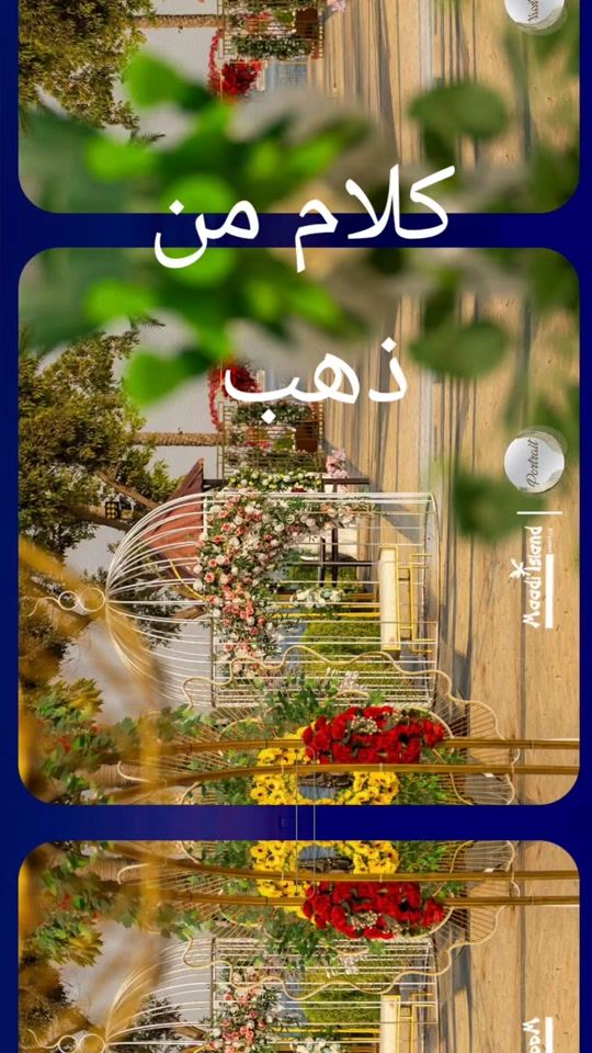 TikTok video thumbnail by wwwmmm633