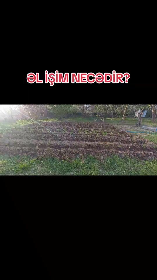 TikTok video thumbnail by resad_agdam_02