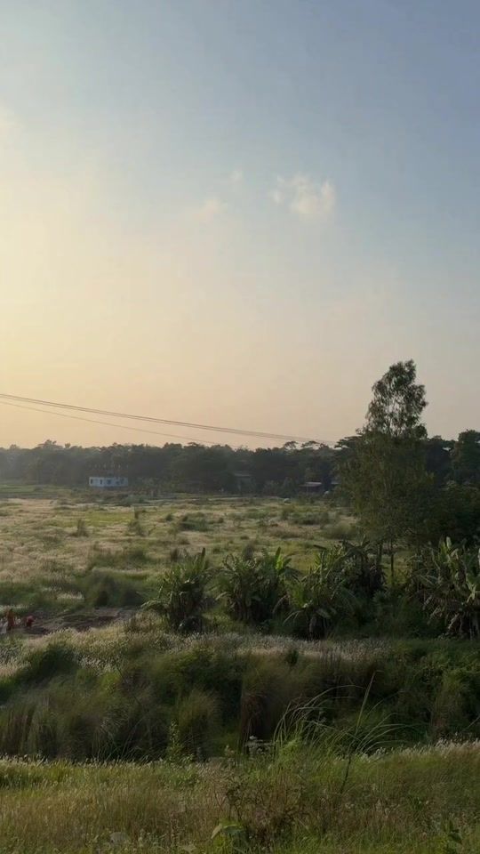 TikTok video thumbnail by user2ktcn1yrtgr55