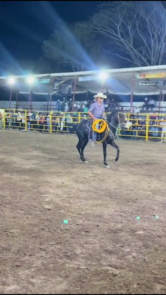 TikTok video thumbnail by elvisgadea28