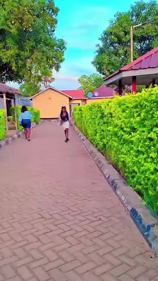 TikTok video thumbnail by 20n389