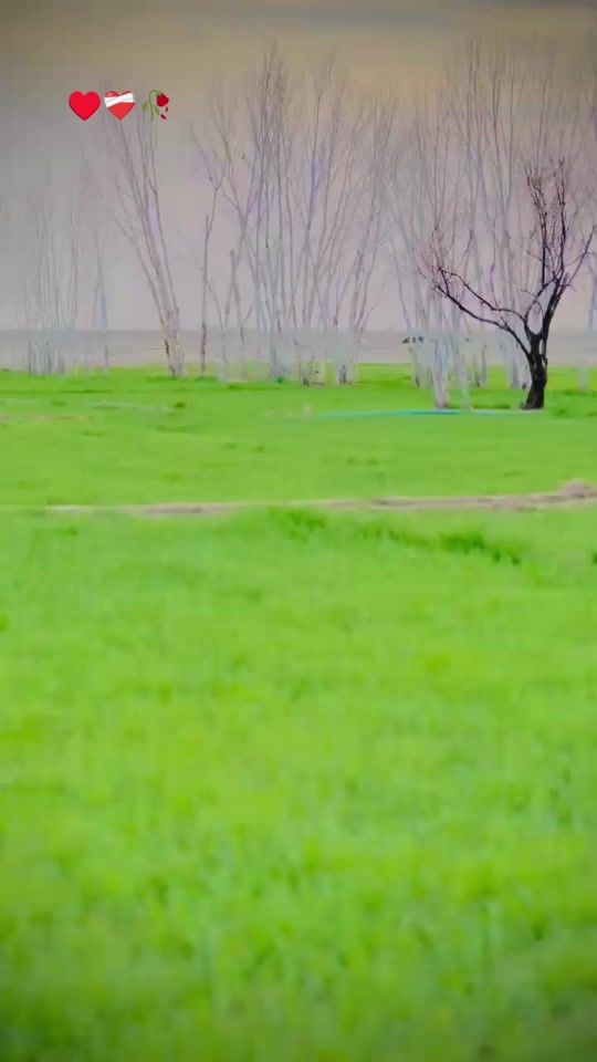 TikTok video thumbnail by ishaq.khan.s