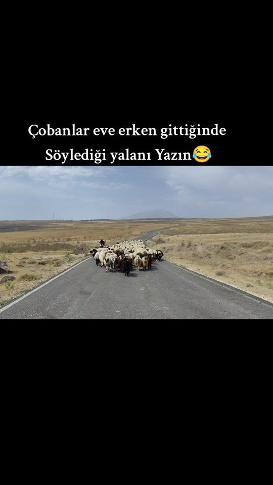 TikTok video thumbnail by bay_kocer